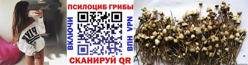 Галлюциногенные грибы MAGIC MUSHROOMS  Курганинск 