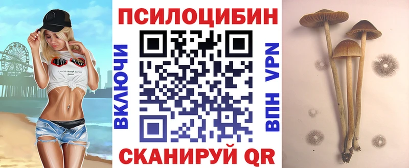 Галлюциногенные грибы прущие грибы Курганинск